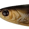 Brown Goby